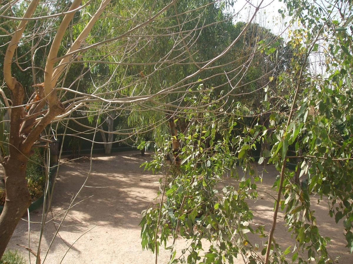 Camping-Sukuta & Lodge Exterior photo